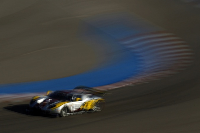 Photo: Ricardo Risatti - Marc VDS Racing Team - Ford GT1 Matech
