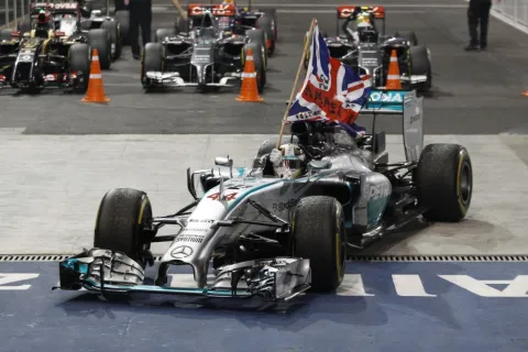 World Champion 2014: Lewis Hamilton