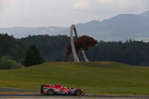 LMP sportscars visit the bull