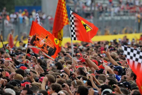 They all want to see Alonso