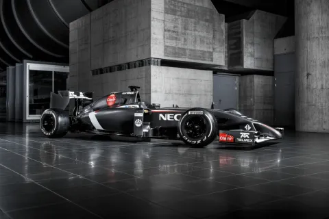 The new nose: Distinctive feature of the F1 generation in 2014