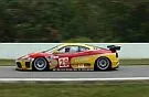 American LeMans Series 2003 GT